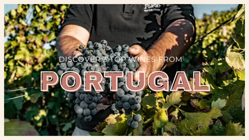Discover 3 Top Portuguese Wines for Adventurous Palates!