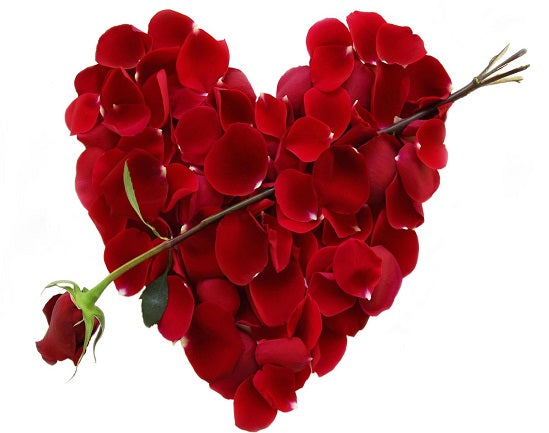 Will you be our Valentine?