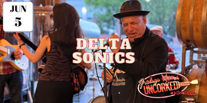 Man playing guitar with 'Delta Sonics' text overlay at an event.